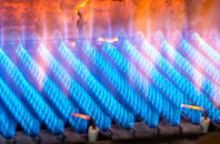 Cliddesden gas fired boilers